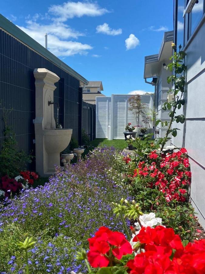 Maison Blue - Chic Inner City Townhouse Napier Buitenkant foto